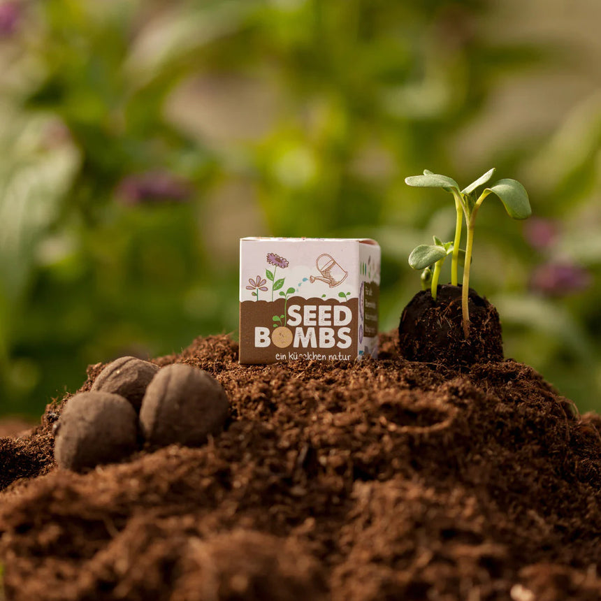 Die Stadtgärtner - Seed Bombs