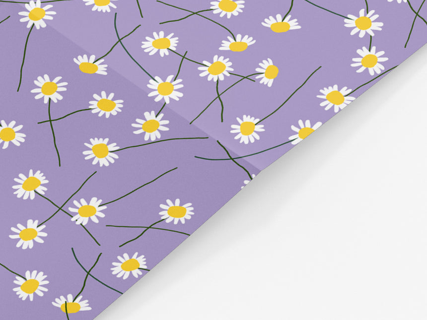 Geschenkbögen / Daisies