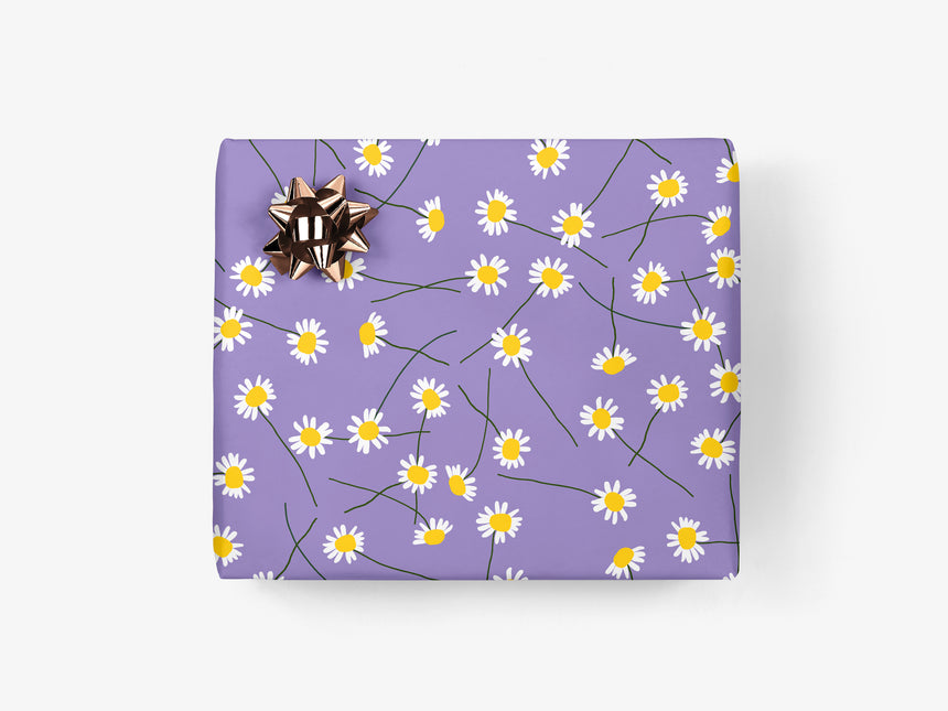 Geschenkbögen / Daisies