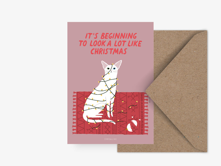 Postcard / Petisfaction "Cats" Look A Lot