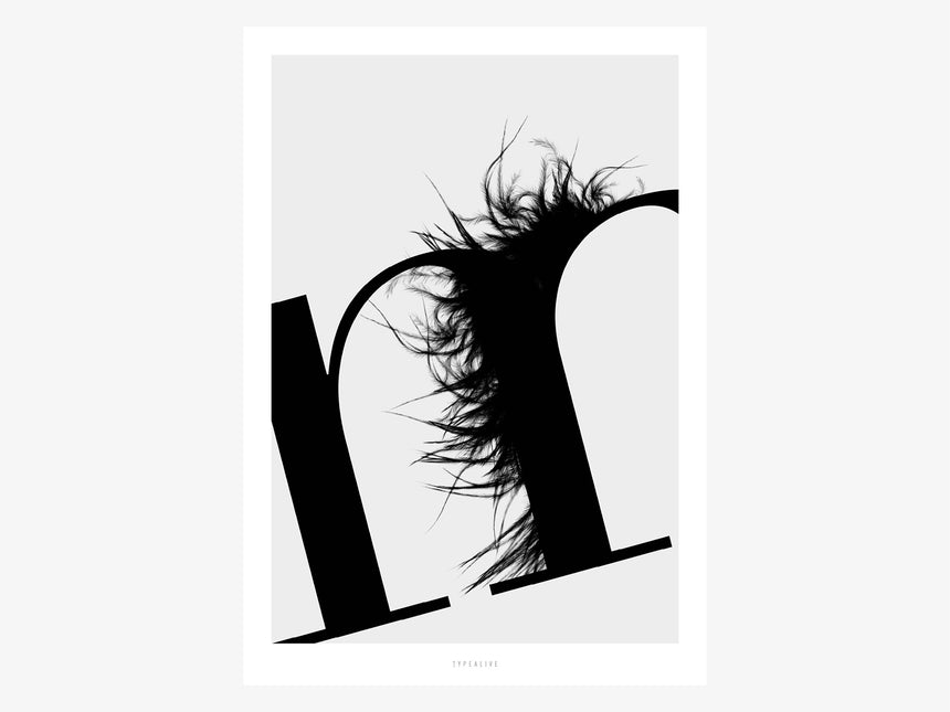 Print / ABC Flying Letters - M