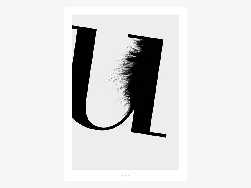 Print / ABC Flying Letters - U