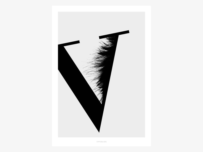 Print / ABC Flying Letters - V