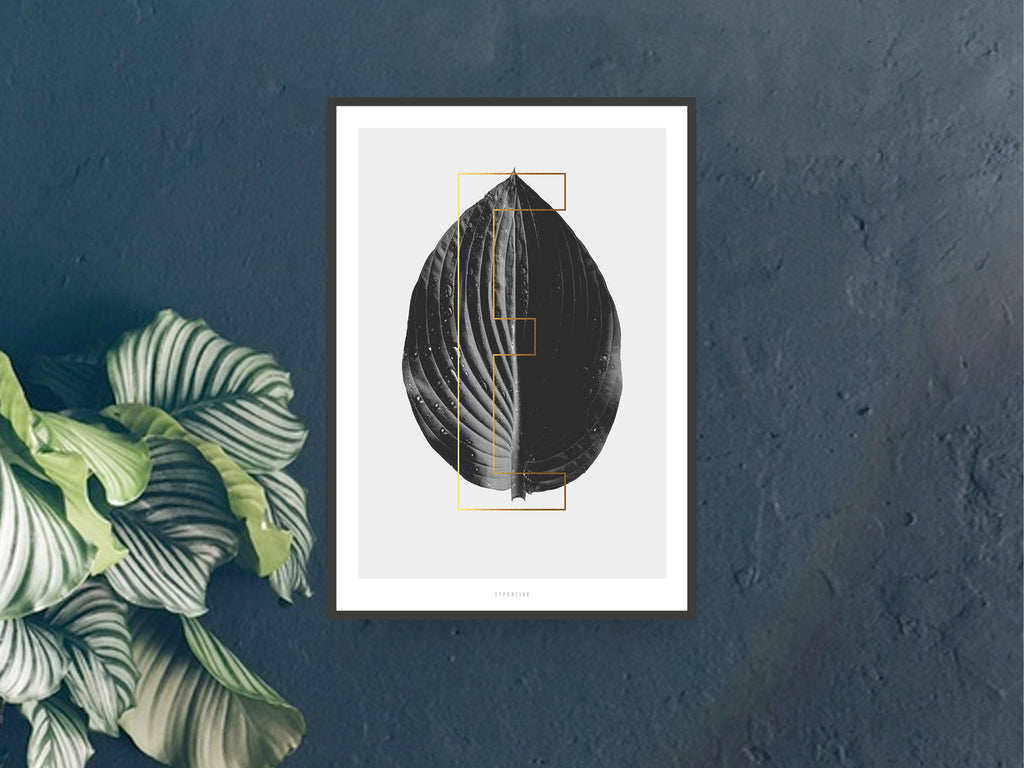 Print / ABC Plants E typealive