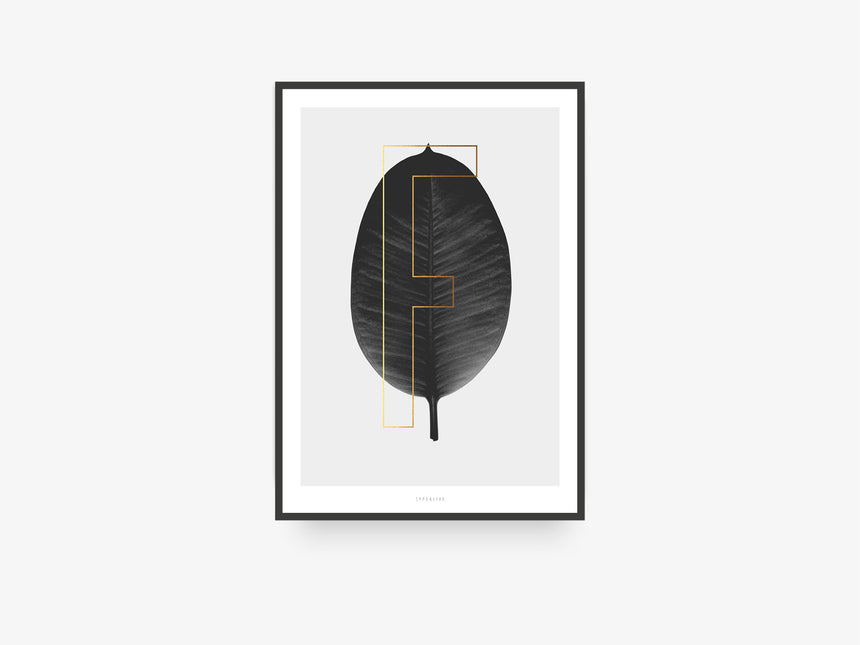 Print / ABC Plants - F