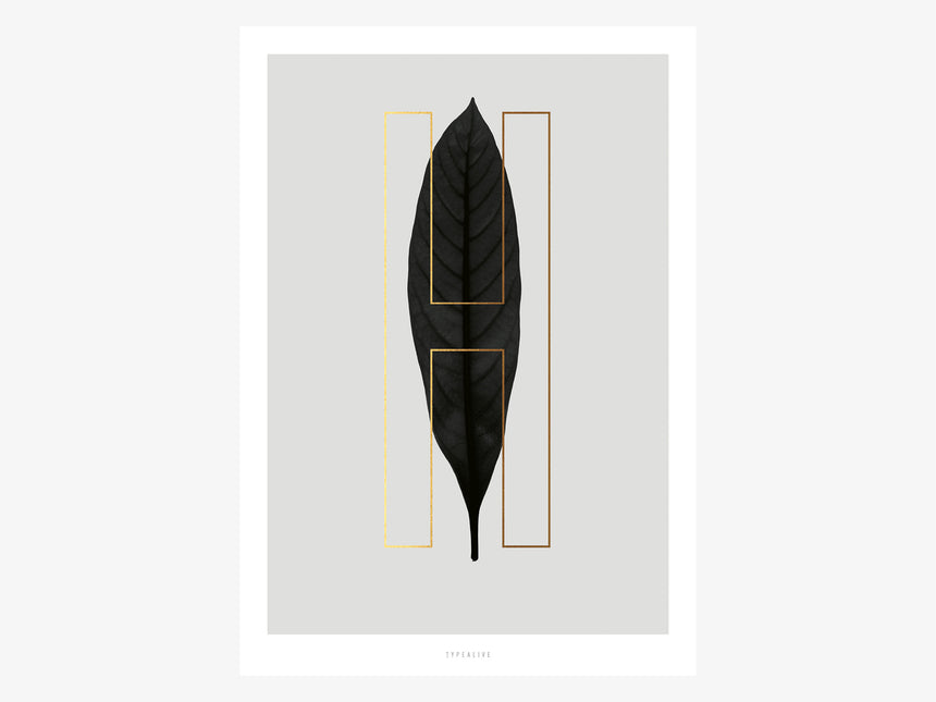Print / ABC Plants - H