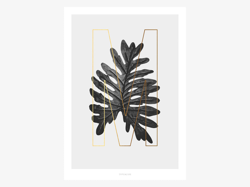 Print / ABC Plants - M