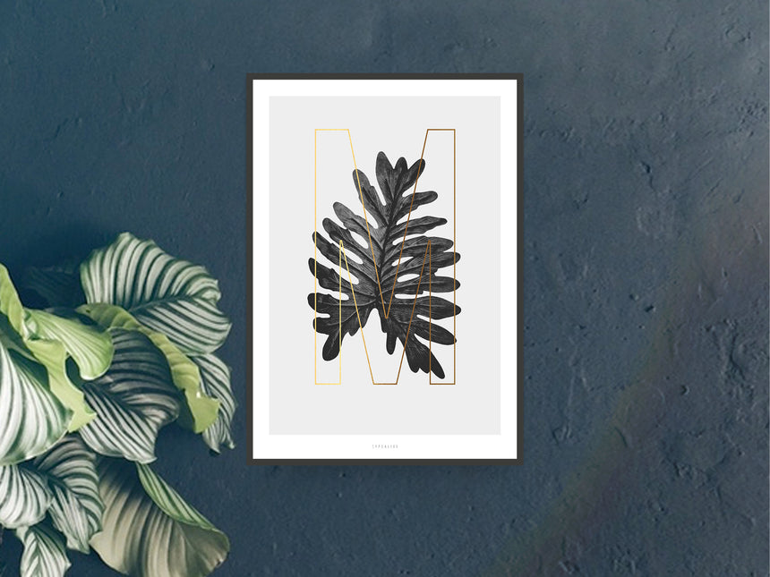 Print / ABC Plants - M