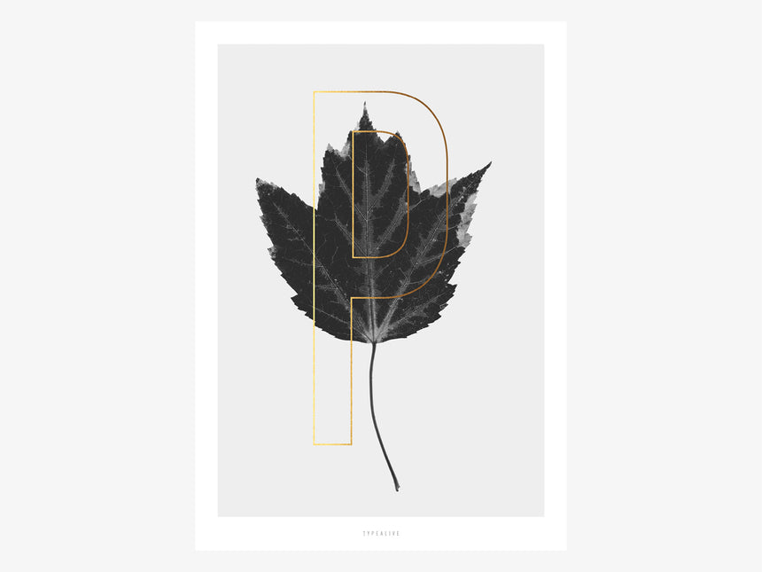 Print / ABC Plants - P