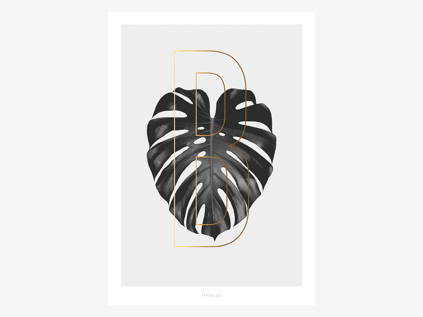 Print / ABC Plants - B