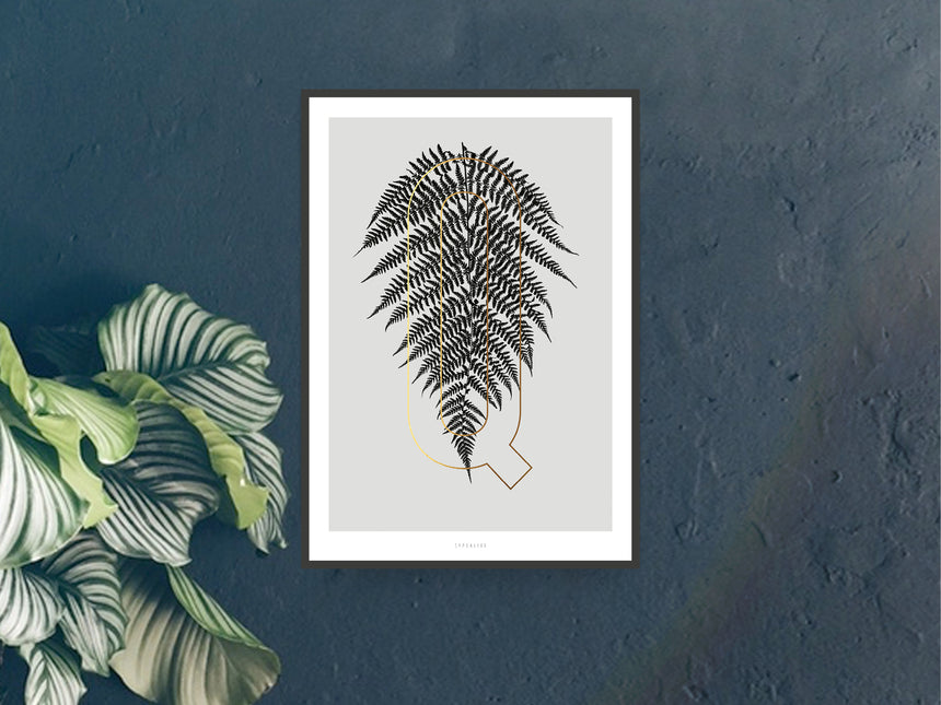 Print / ABC Plants - Q