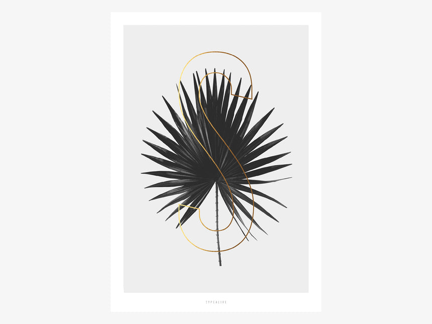 Print / ABC Plants - S