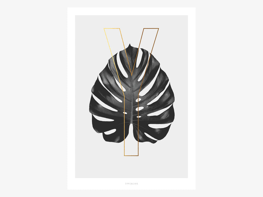 Print / ABC Plants - Y