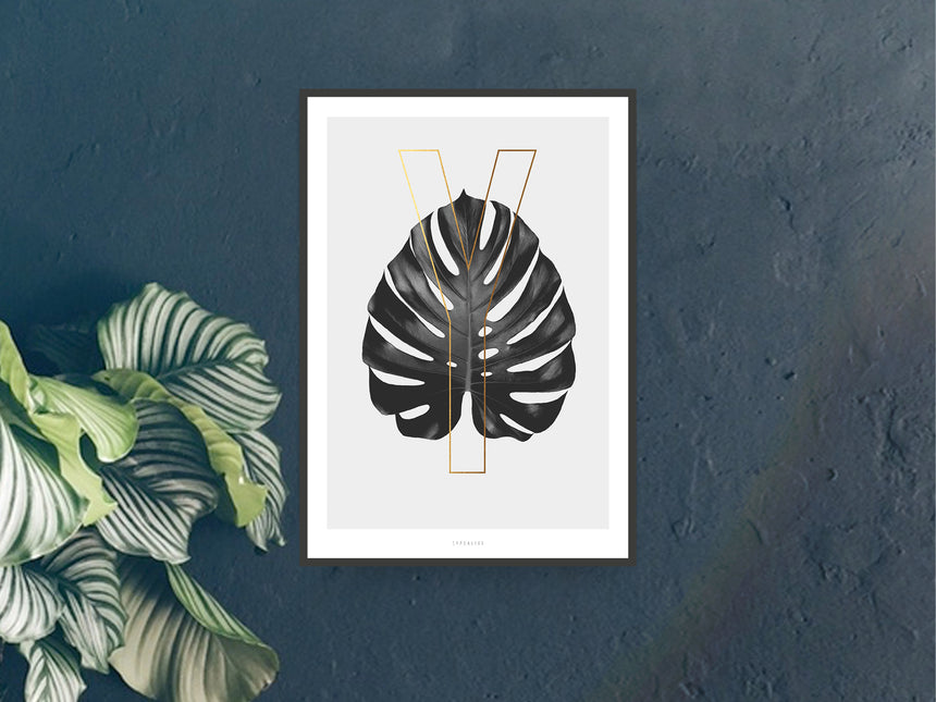 Print / ABC Plants - Y