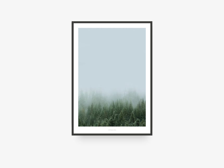 Print / A Quiet Place No. 1