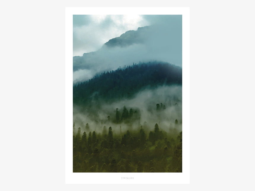 Print / A Quiet Place No. 5