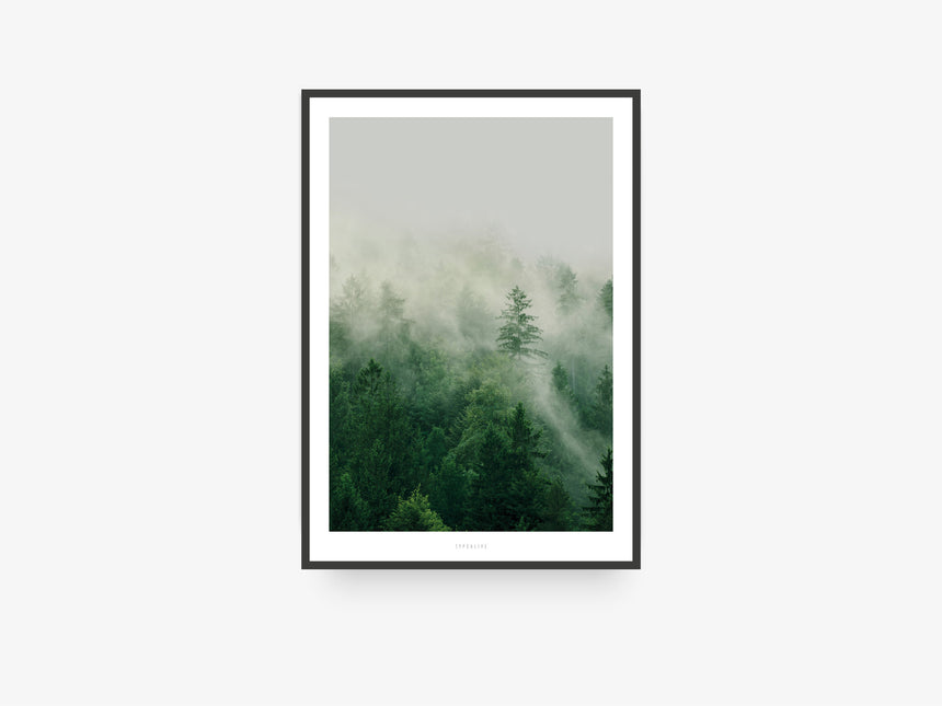 Print / A Quiet Place No. 7