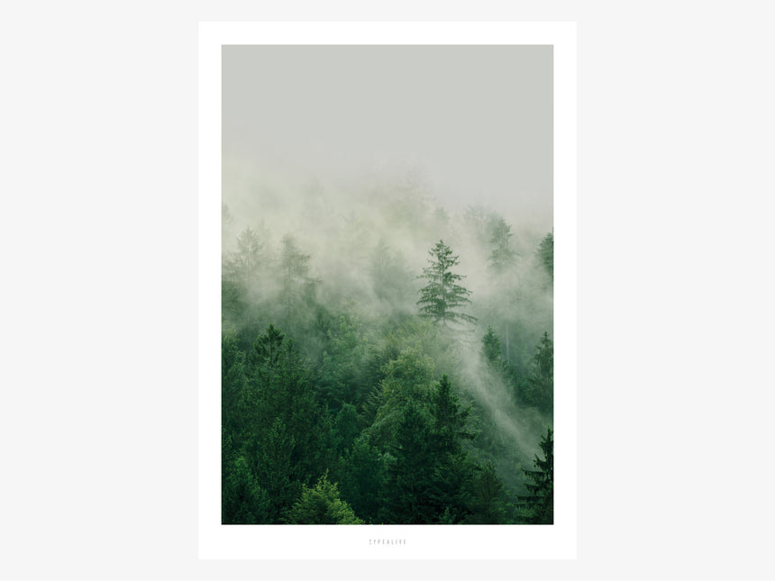 Print / A Quiet Place No. 7