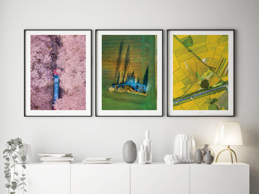 Print / Above The Woods No. 8