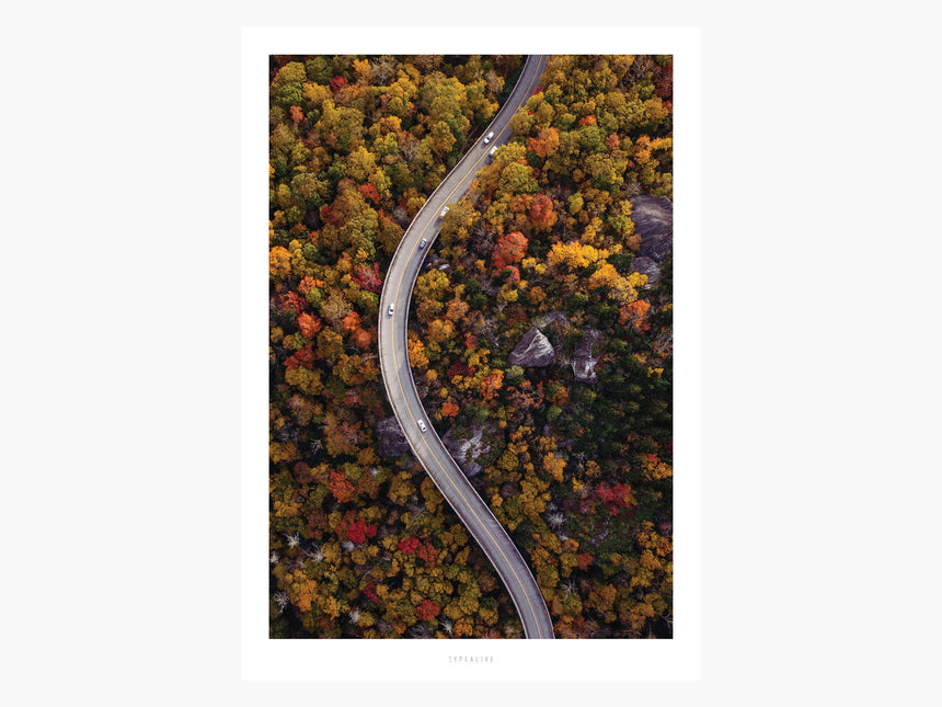 Print / Above The Roads No. 4