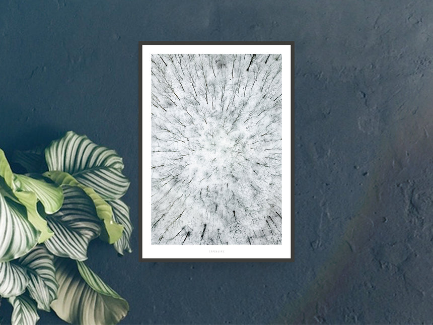 Print / Above The Woods No. 4