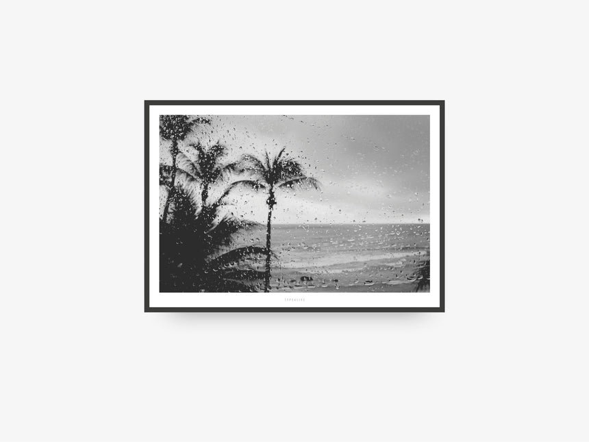 Print / All About Palms No. 12