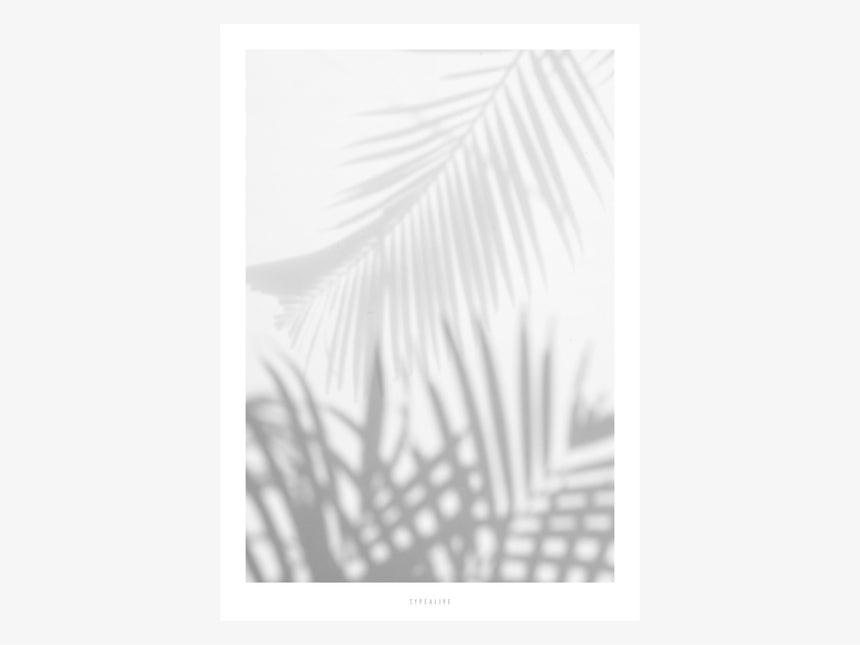 Print / All About Palms No. 1