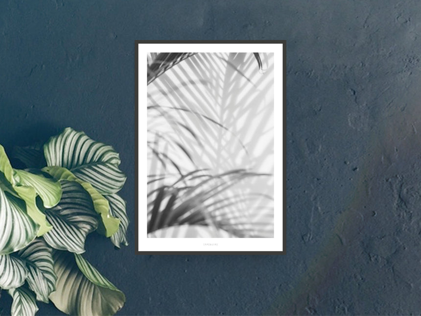 Print / All About Palms No. 2