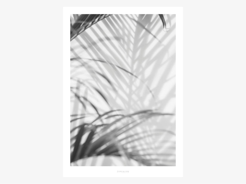 Print / All About Palms No. 2