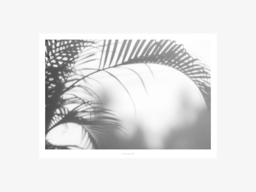 Print / All About Palms No. 3