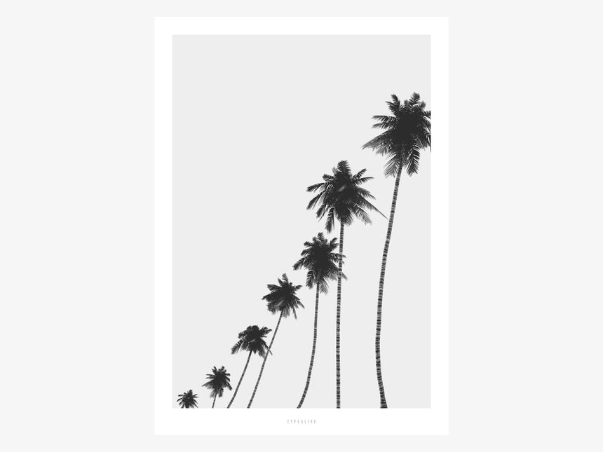 Print / All About Palms No. 6