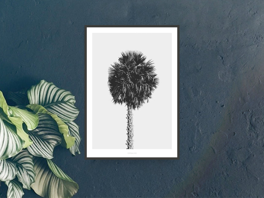 Print / All About Palms No. 8