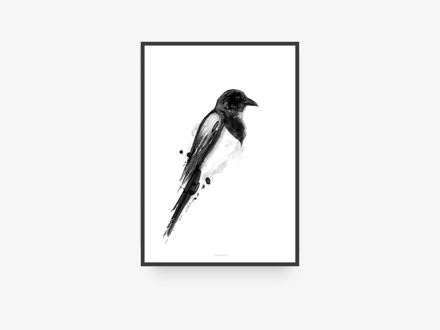 Print / Birdy No. 4