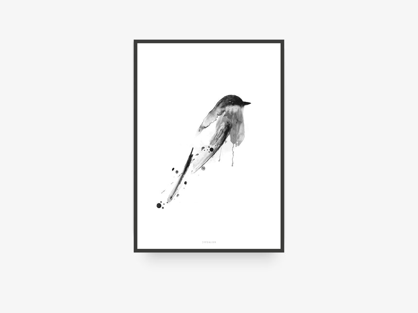 Print / Birdy No. 3