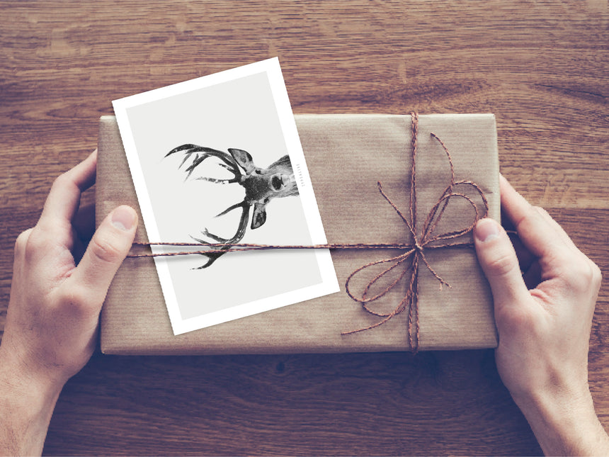 Postkarte / Deer No. 1
