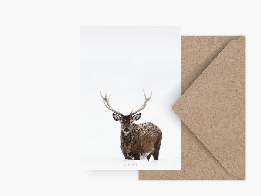 Postkarte / Deer No. 2