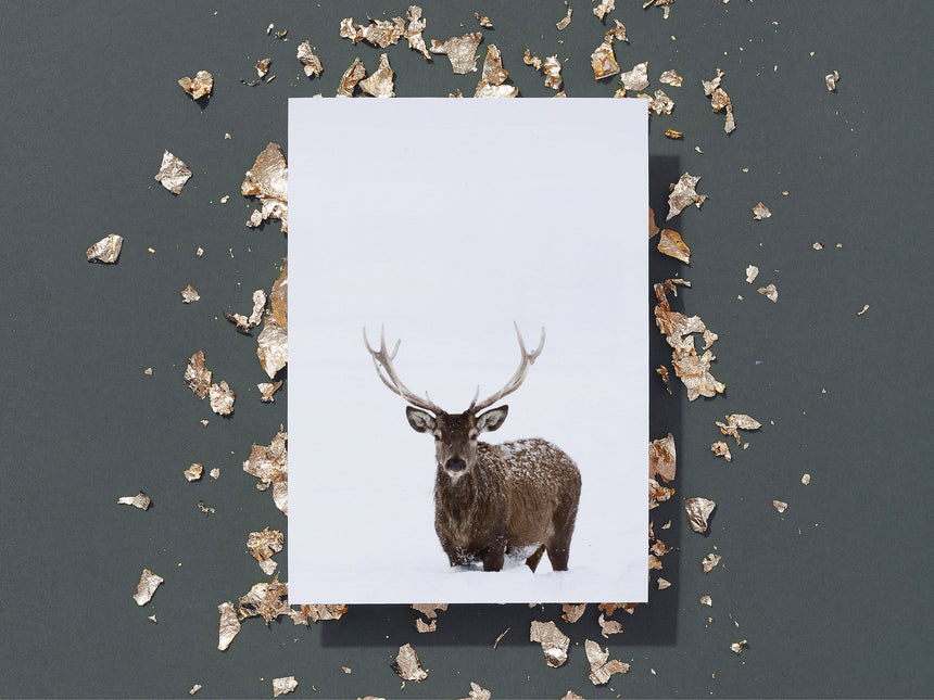 Grußkarte / Deer No. 2