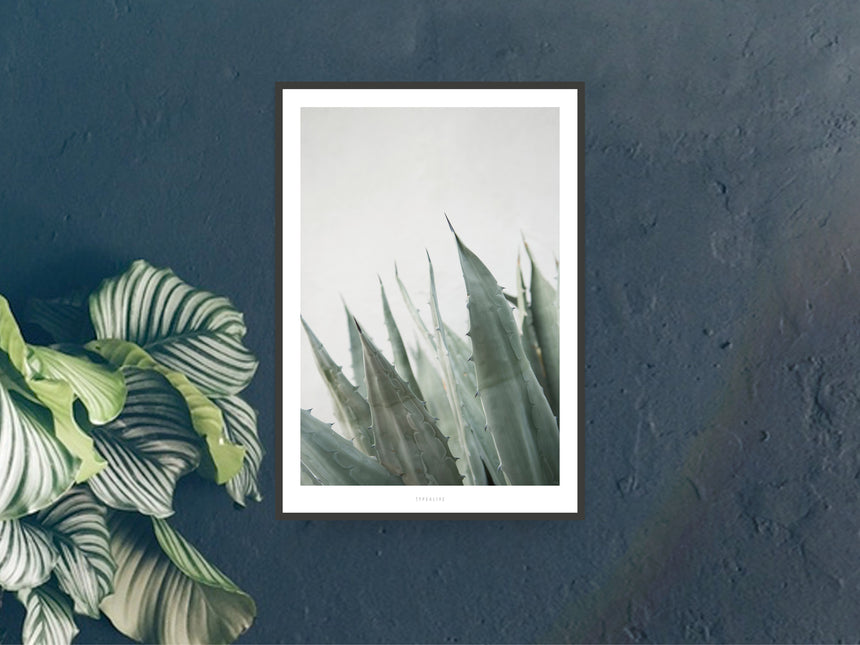 Print / Junglelow No. 11