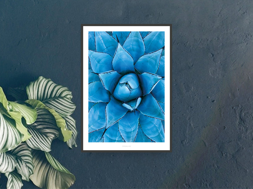 Print / Junglelow No. 13
