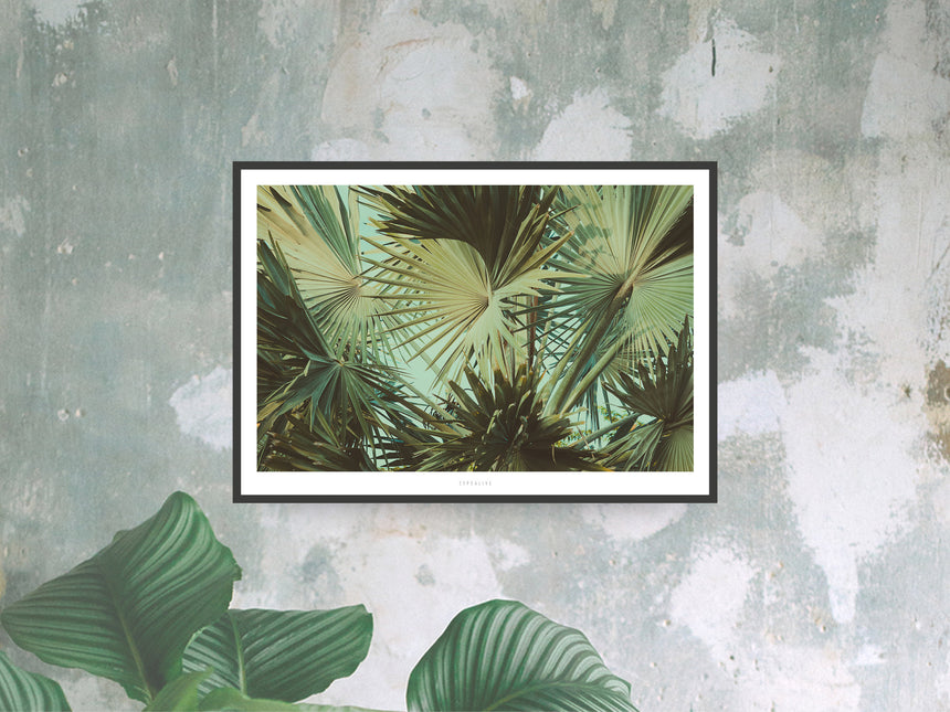Print / Junglelow No. 1