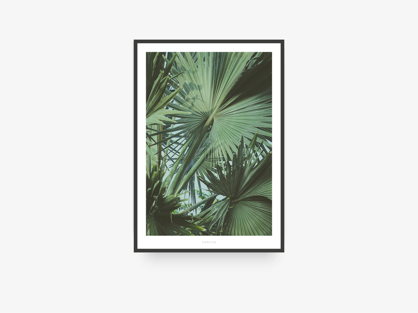 Print / Junglelow No. 2