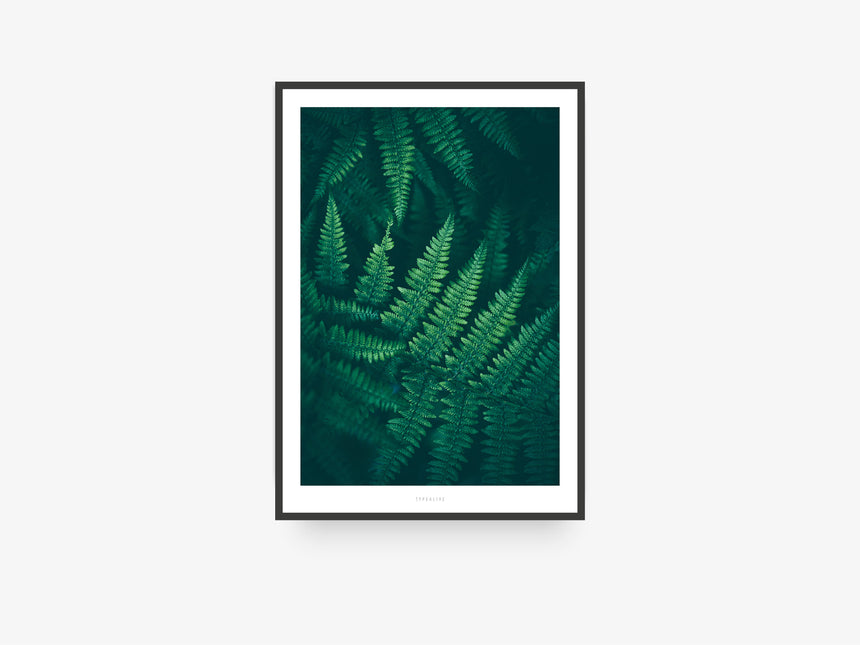 Print / Junglelow No. 4