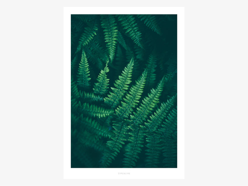 Print / Junglelow No. 4