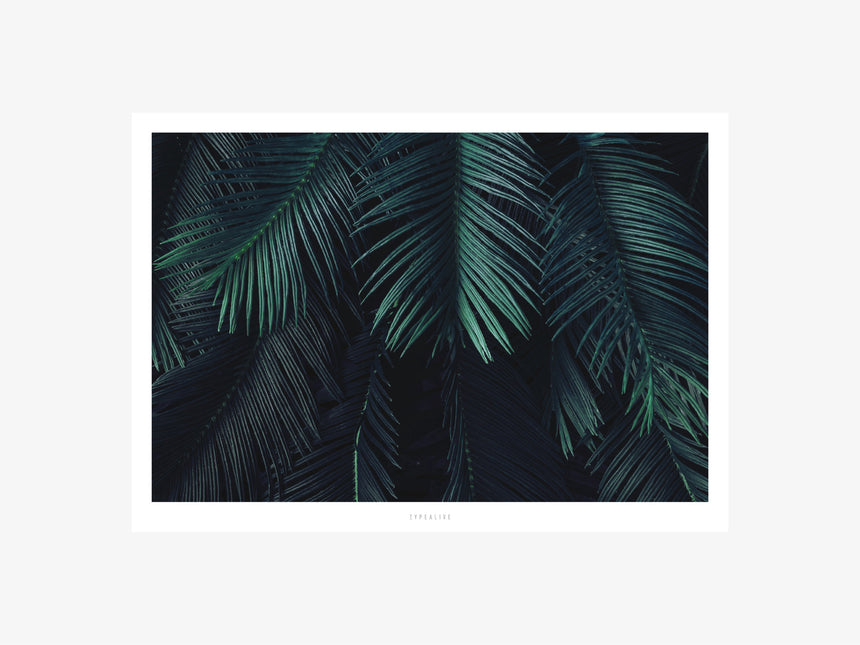 Print / Junglelow No. 5