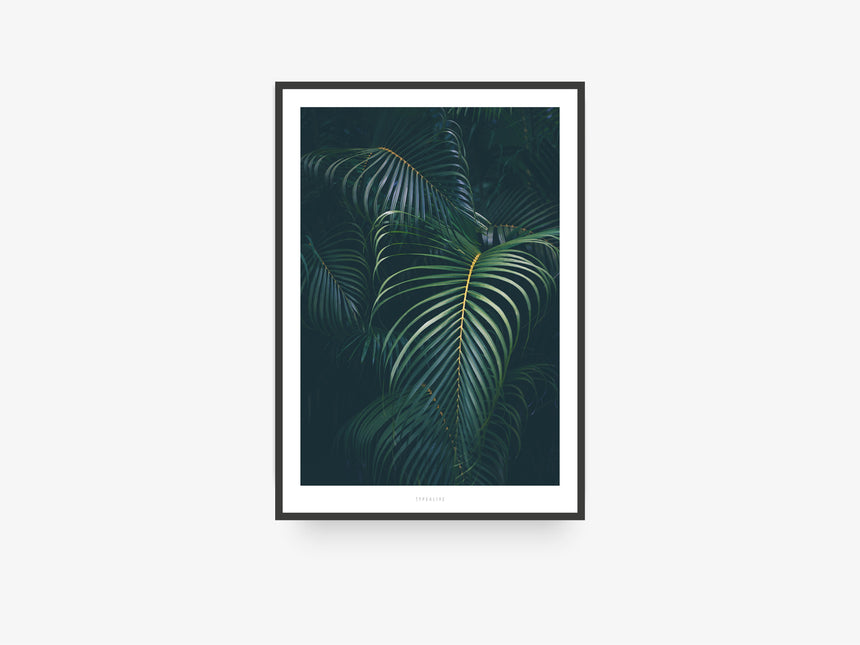 Print / Junglelow No. 6