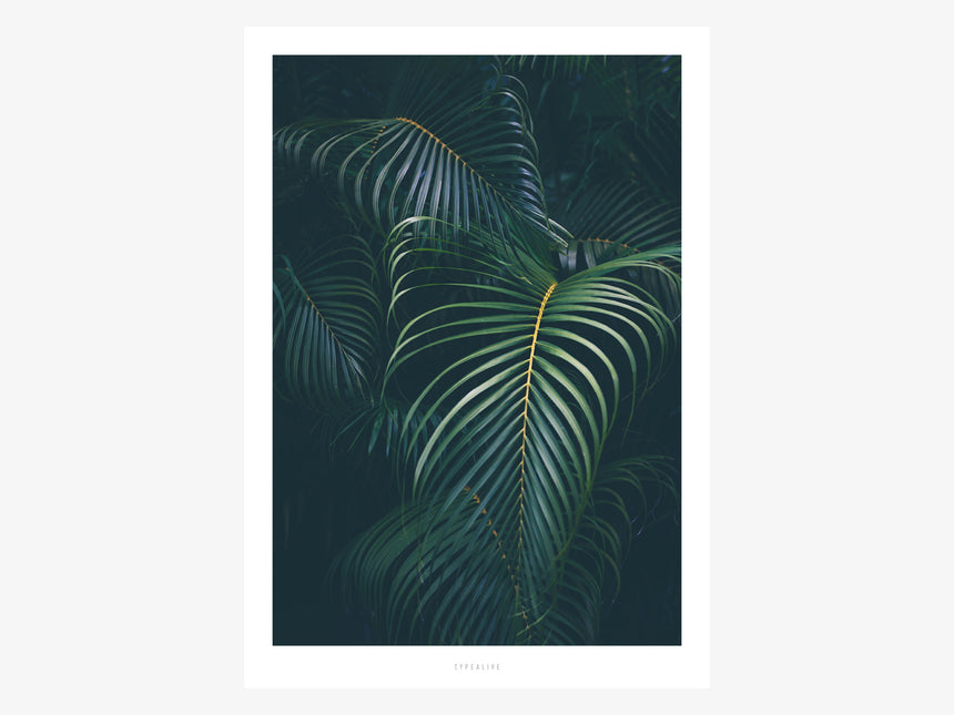 Print / Junglelow No. 6