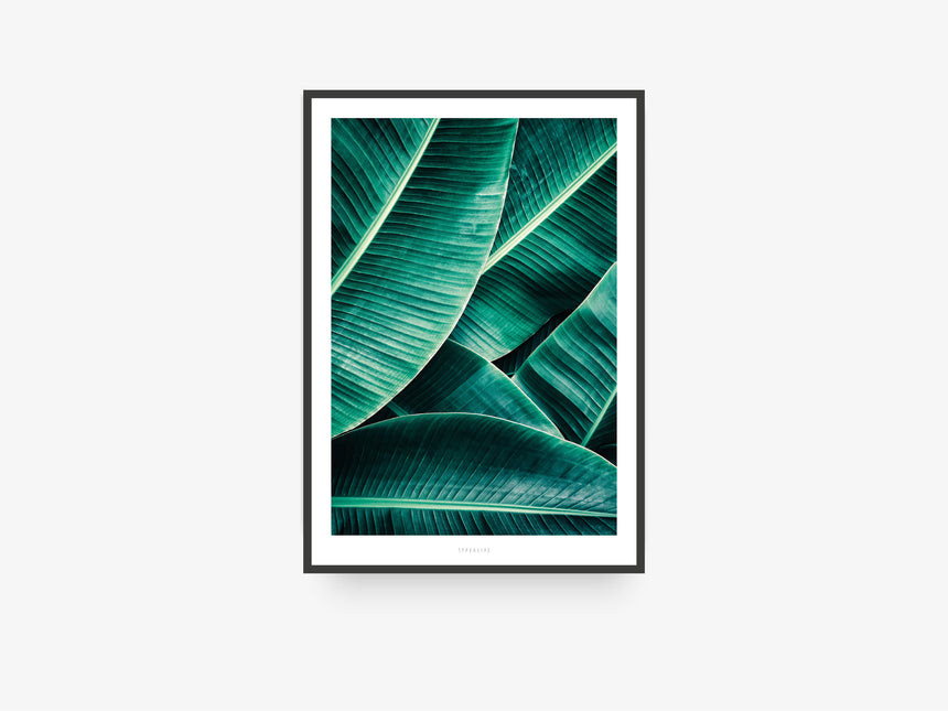 Print / Junglelow No. 7