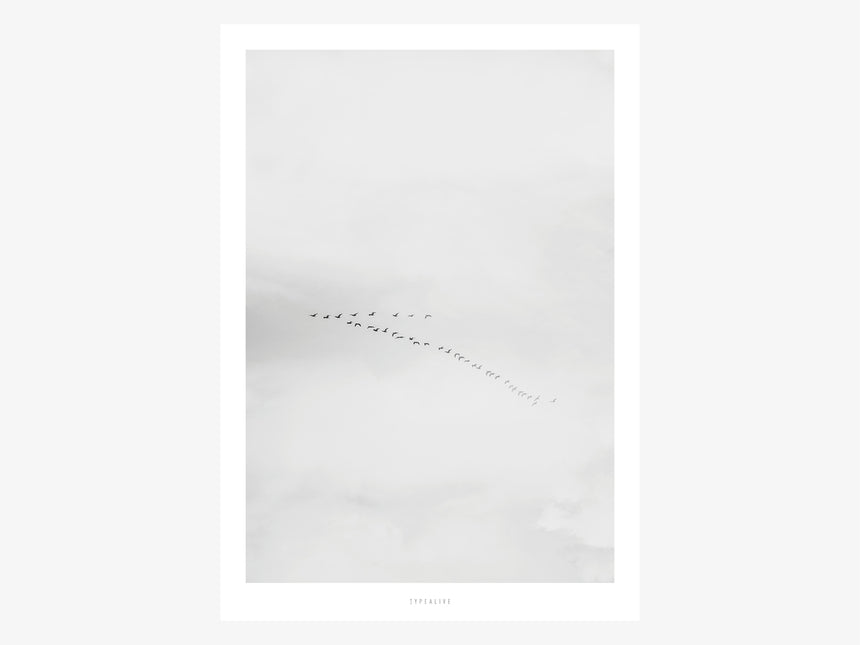 Print / Landscape No. 18