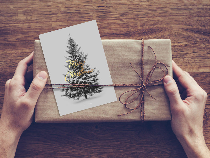 Postkarte / Merry Christmas Fir