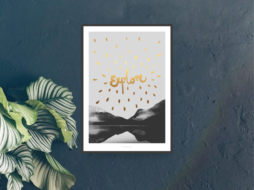 Print / Explore